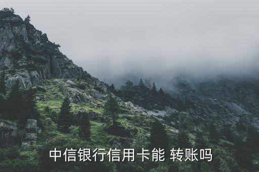  中信銀行信用卡能 轉(zhuǎn)賬嗎