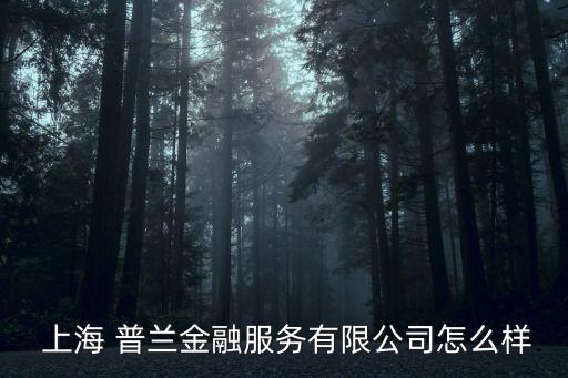  上海 普蘭金融服務(wù)有限公司怎么樣