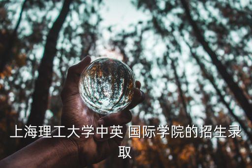 成中國際,中赟國際怎么樣