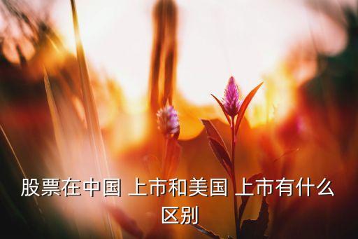 股票在中國 上市和美國 上市有什么區(qū)別