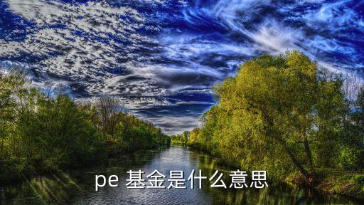 pe 基金是什么意思