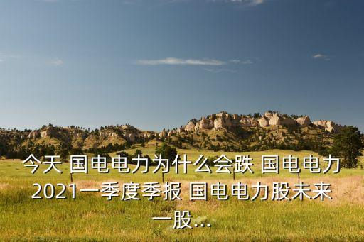 今天 國電電力為什么會(huì)跌 國電電力2021一季度季報(bào) 國電電力股未來一股...