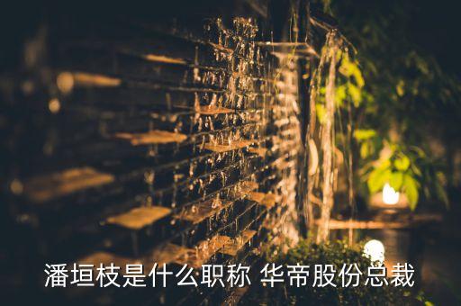 潘垣枝是什么職稱(chēng) 華帝股份總裁