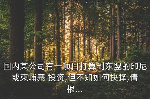 國內(nèi)某公司有一項(xiàng)目打算到東盟的印尼或柬埔寨 投資,但不知如何抉擇,請(qǐng)根...