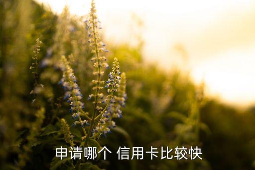  申請(qǐng)哪個(gè) 信用卡比較快