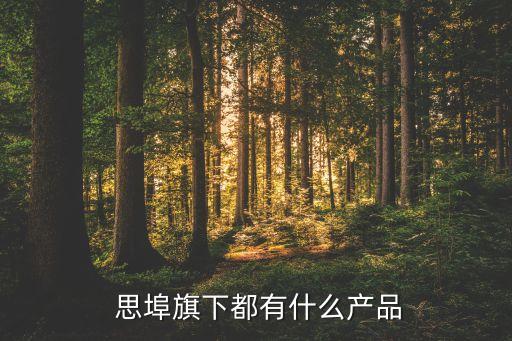  思埠旗下都有什么產(chǎn)品