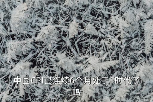 中國CPI已連續(xù)6個月處于1時(shí)代了嗎