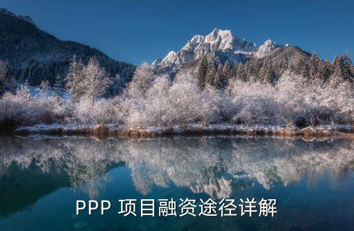 ppp項(xiàng)目公司組建,Ppp項(xiàng)目公司的責(zé)任義務(wù)