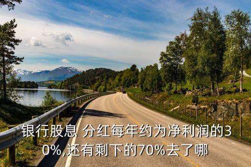  銀行股息 分紅每年約為凈利潤的30%,還有剩下的70%去了哪