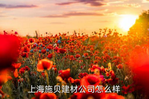 上海施貝建材公司怎么樣