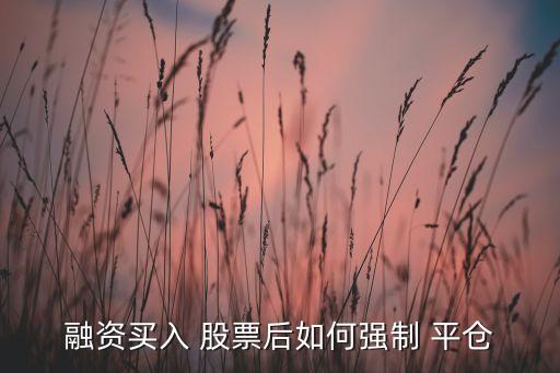 融資買(mǎi)入 股票后如何強(qiáng)制 平倉(cāng)