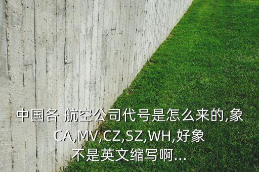 中國各 航空公司代號是怎么來的,象CA,MV,CZ,SZ,WH,好象不是英文縮寫啊...