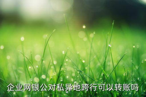 企業(yè)網(wǎng)銀公對私異地跨行可以轉(zhuǎn)賬嗎