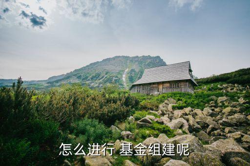 怎么進行 基金組建呢