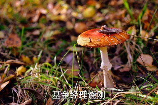 東方紅證券資產(chǎn)管理有限公司,中泰證券資產(chǎn)管理有限公司