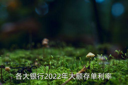 各大銀行2022年大額存單利率