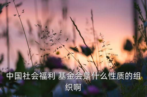 中委基金是什么,中委候補是什么級別