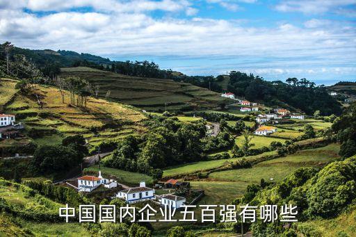中國國內(nèi)企業(yè)五百強(qiáng)有哪些