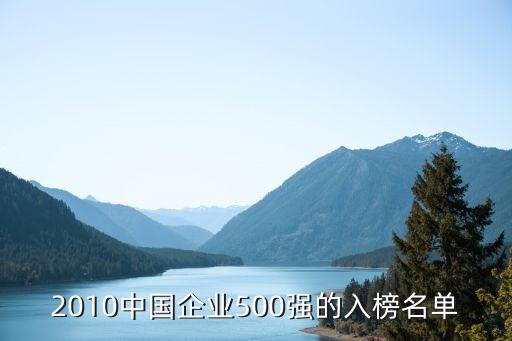 2010中國(guó)企業(yè)500強(qiáng)的入榜名單