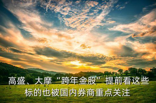  高盛、大摩“跨年金股”提前看這些標的也被國內(nèi)券商重點關(guān)注