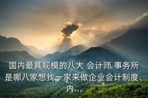 國內(nèi)最具規(guī)模的八大 會計師 事務(wù)所是哪八家想找一家來做企業(yè)會計制度、內(nèi)...