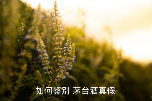 如何鑒別 茅臺酒真假