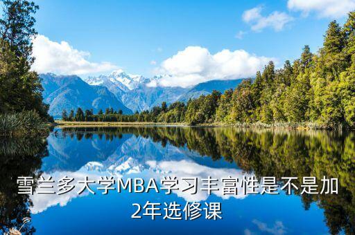 雪蘭多大學MBA學習豐富性是不是加2年選修課