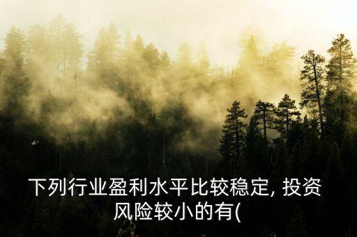 下列行業(yè)盈利水平比較穩(wěn)定, 投資 風(fēng)險(xiǎn)較小的有(