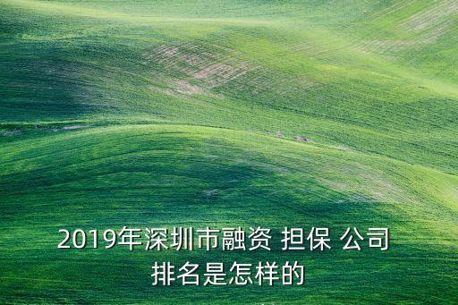 2019年深圳市融資 擔(dān)保 公司 排名是怎樣的