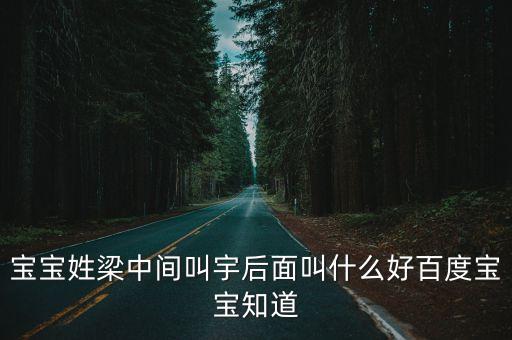 寶寶姓梁中間叫宇后面叫什么好百度寶寶知道