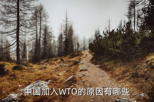 中國(guó)是怎么進(jìn)入wto,中國(guó)怎么進(jìn)入WTO