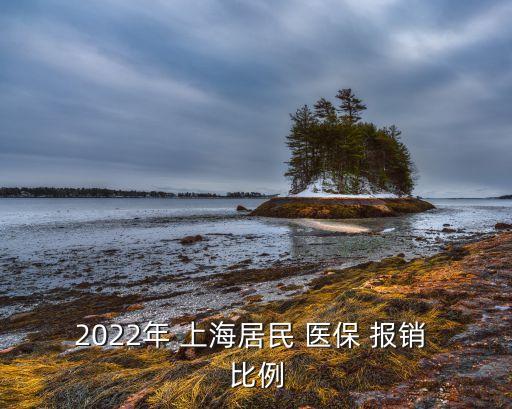 2022年 上海居民 醫(yī)保 報(bào)銷 比例