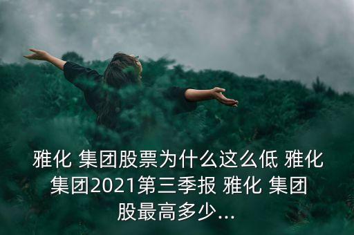  雅化 集團股票為什么這么低 雅化 集團2021第三季報 雅化 集團股最高多少...