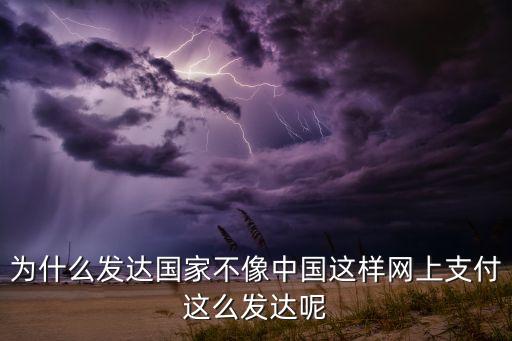 為什么發(fā)達(dá)國(guó)家不像中國(guó)這樣網(wǎng)上支付這么發(fā)達(dá)呢