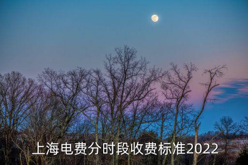  上海電費分時段收費標準2022