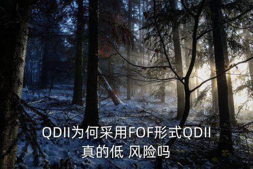 QDII為何采用FOF形式QDII真的低 風(fēng)險嗎