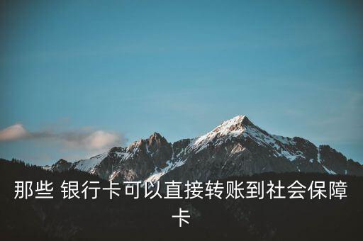 那些 銀行卡可以直接轉(zhuǎn)賬到社會(huì)保障卡