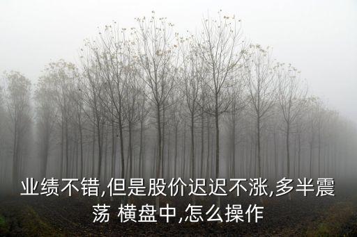 業(yè)績不錯,但是股價遲遲不漲,多半震蕩 橫盤中,怎么操作