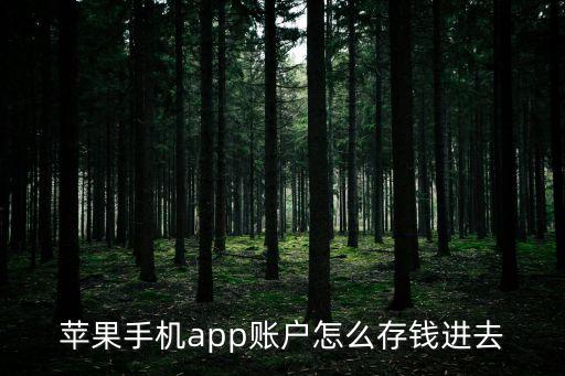 蘋果手機app賬戶怎么存錢進去