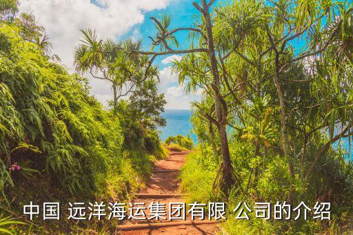 中國 遠(yuǎn)洋海運集團(tuán)有限 公司的介紹