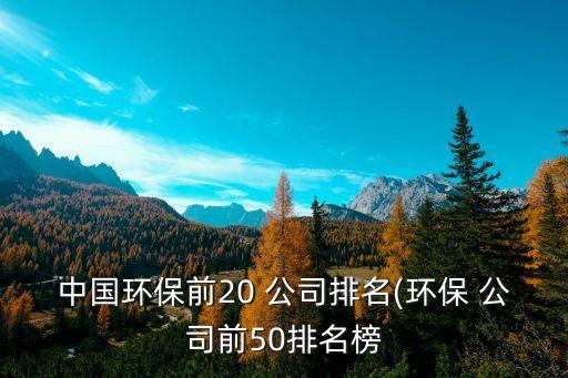 中國環(huán)保前20 公司排名(環(huán)保 公司前50排名榜