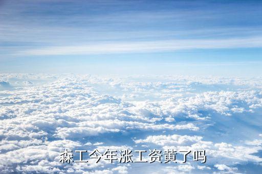 森工集團現(xiàn)任董事長,2022森工集團現(xiàn)任董事長