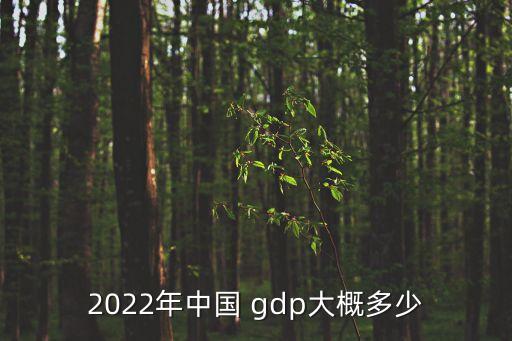 2022年中國(guó) gdp大概多少