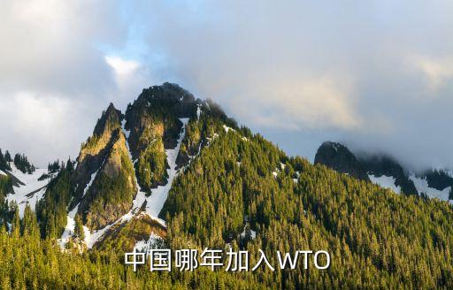 中國(guó)哪年加入WTO