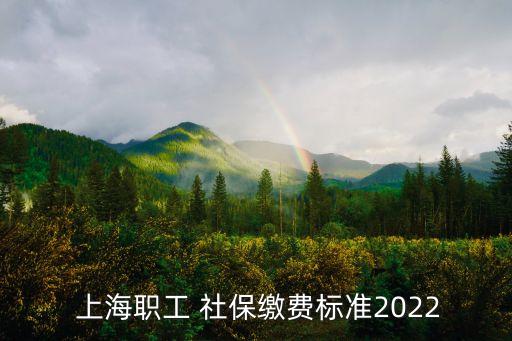  上海職工 社保繳費標(biāo)準(zhǔn)2022