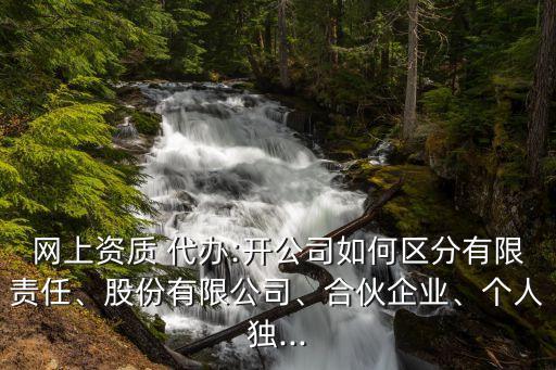 網(wǎng)上資質(zhì) 代辦:開公司如何區(qū)分有限責(zé)任、股份有限公司、合伙企業(yè)、個(gè)人獨(dú)...