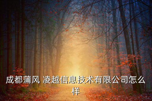 成都蒲風(fēng) 凌越信息技術(shù)有限公司怎么樣