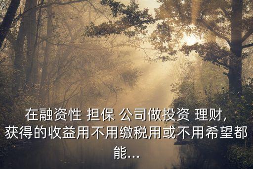 擔(dān)保公司可以做理財(cái)嗎