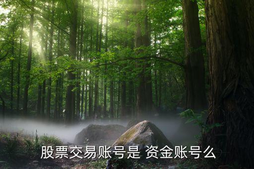 股票資金帳戶,怎么把錢轉(zhuǎn)入股票資金賬戶