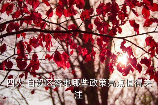 四大 自貿(mào)區(qū)落地哪些政策亮點(diǎn)值得關(guān)注